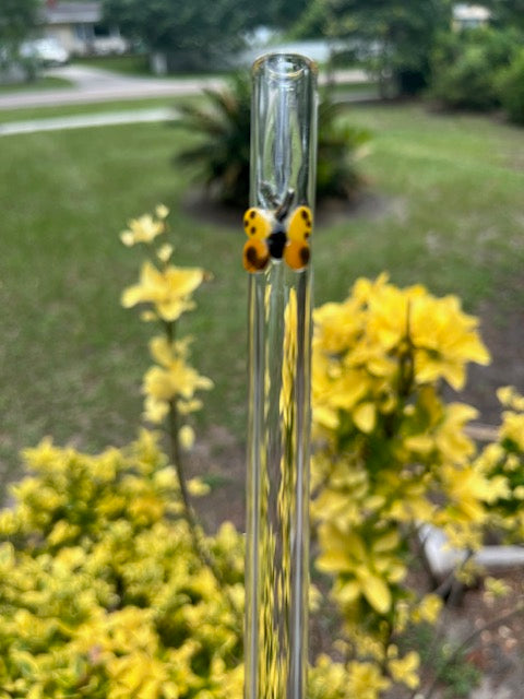 Glass Straw