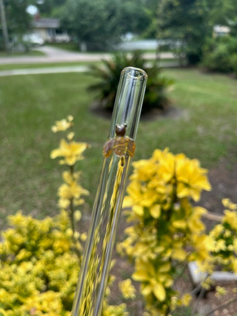 Glass Straw