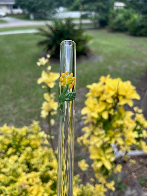 Glass Straw