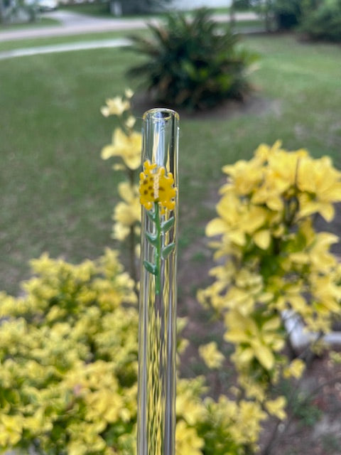 Glass Straw